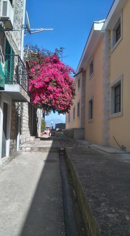 Nataliia Twister Apartment Budva Zewnętrze zdjęcie